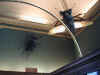 insects05.jpg (77693 Byte)