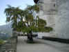 salzburg09.jpg (101359 Byte)