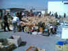 aspern02.jpg (111121 Byte)