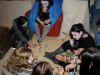 halloween4.jpg (93387 Byte)