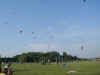 kite11.jpg (53974 Byte)