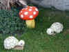 kuerbis2.jpg (423146 Byte)