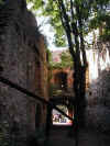 landsee0.jpg (153111 Byte)