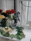 lndf4.jpg (91618 Byte)