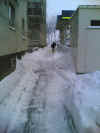 schnee03.jpg (61345 Byte)