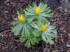 spring055.jpg (415457 Byte)
