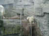 zoo1.jpg (389923 Byte)