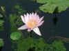 zoo3.jpg (392307 Byte)