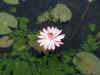 zoo4.jpg (388861 Byte)