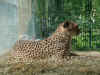 zoo7.jpg (409605 Byte)