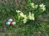 easter04.jpg (179980 Byte)